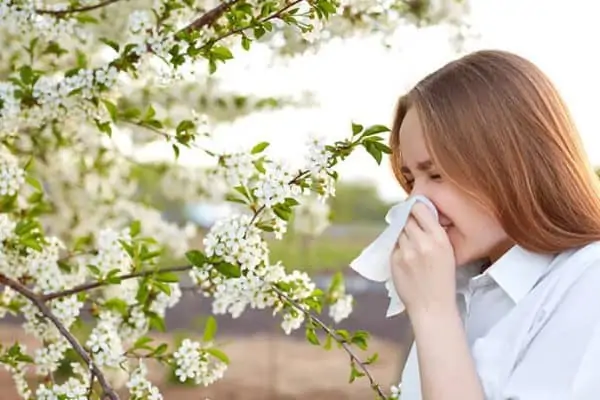 Pollenflug und Allergie