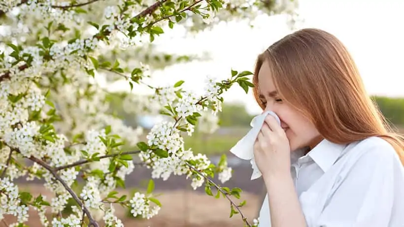 Pollenflug und Allergie