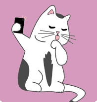 😸😻 Katzen Apps: Die besten Apps für Deinen Stubentiger 😼😽 2